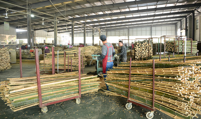 Shenzhen Magic Bamboo Industrial Co., Ltd. manufacturer production line
