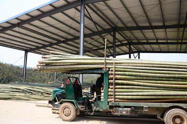 Shenzhen Magic Bamboo Industrial Co., Ltd. manufacturer production line