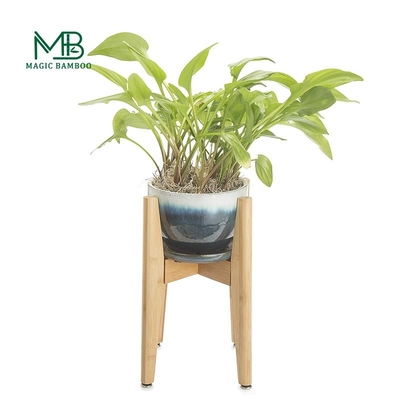 Natural Bamboo Stand White Ceramic Small Planter Pot for Modern Living Spaces